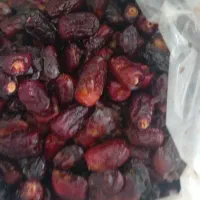 فروش خرما بدون هسته تازه امسال