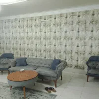 همخونه هاشمیه