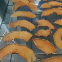 میوه خشک کن نیمه صنعتی