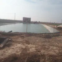 خانه باغ کویری و باغ پسته