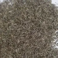 زیره سیاه کلات