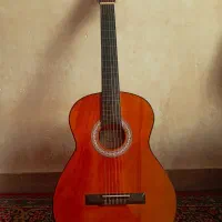 گیتار persian مدل P