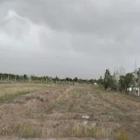زمین باغ