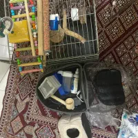 قفس پرنده