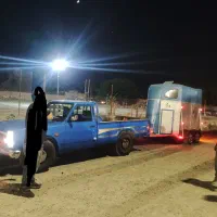 اسب کش