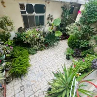 اجاره سوئیت روزانه ۶۰ متری / داخل شهر فومن