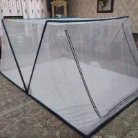 پشه بندتاشو باکفی