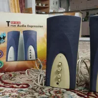 اسپیکر کامپیوتر