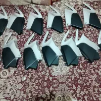 قاب بغل کثیر و بال باک هرمس