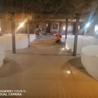 جوجه بوقلمون بیوتی ۴۰ روزه
