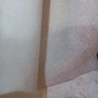 پالاز موکت نو نو