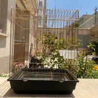 قفس پرنده حیوانات