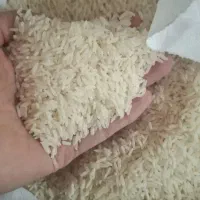 برنج درجه یک هاشمی گیلان