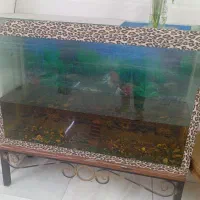 اکواریوم بزرگ 1/20در80