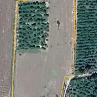 زمین ۲۵۰۰ متری