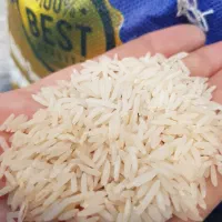 برنج پاکستانی