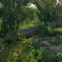 فروش-باغچه-سند-دار