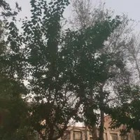 جلفا تاپ لوکیشن 130متر تکواحد