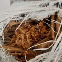 برگ قرمز