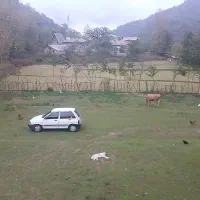 حرکت از بیرجند به مشهد امروز عصر