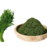 شوید خشک خانگی (سبزی دزفول)