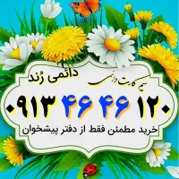 ۰۹۱۳.۴۶.۴۶.۱۲۰