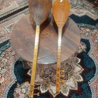 دو عدد چگور