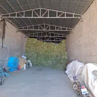 یونجه درجه یک