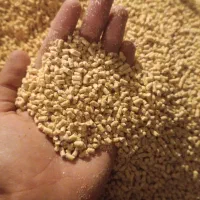 دان پارس جوجه و مرغ