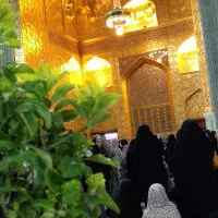سفر