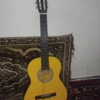 گیتار آموزشی دیموند