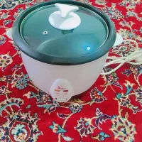 پلوپز برقی نو بدون کار کرد