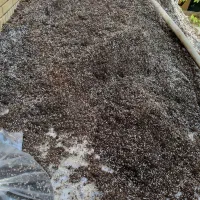 فروش تک  و عمده  خاک تخصصی