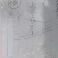 گم شده دوبرگ چک