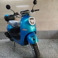 پاکشتی سند دار ۸۰ سی سی