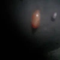 سنگ قیمتی قدیمی