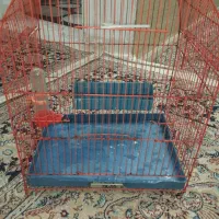 قفسه پرنده