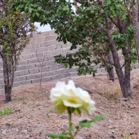 باغچه نقلی212 متری سند تکبرگ،آب و برق