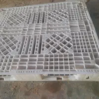 پالت