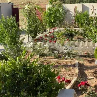 فروش زمین هزارمتری کودیان