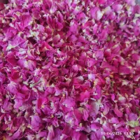 باسلام مقداری برگ گل محمدی وغنچه محمدی امسالی
