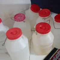دبه ربی