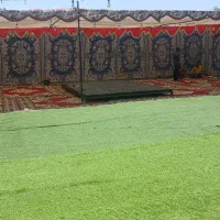 داربست عروسی