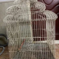 قفس بزرگ پرنده