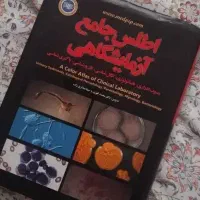 اطلس