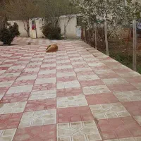 باغ قلیان