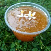 مربا شمالی بهارنارنج،توت فرنگی،ازگیل (انبه ژاپنی)