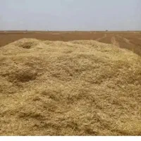 کاه درجه یک