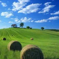 کاه علف سبز