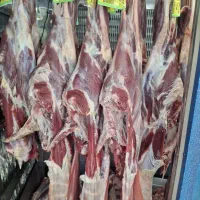 گوشت گوسفندی جوان 1100000خریدباکالابرگ